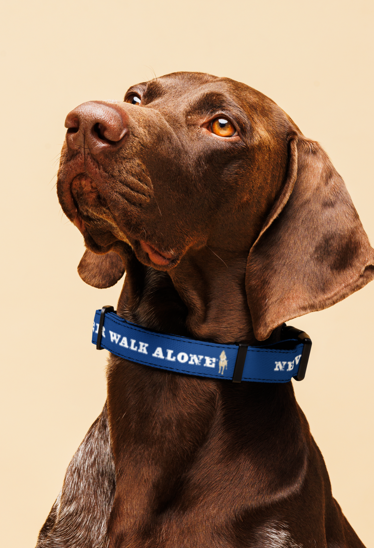 Never Walk Alone® Premium Dog Collar