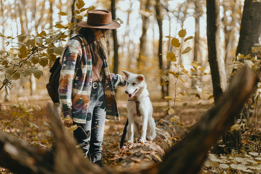 Headwear Solutions For Dog Walking