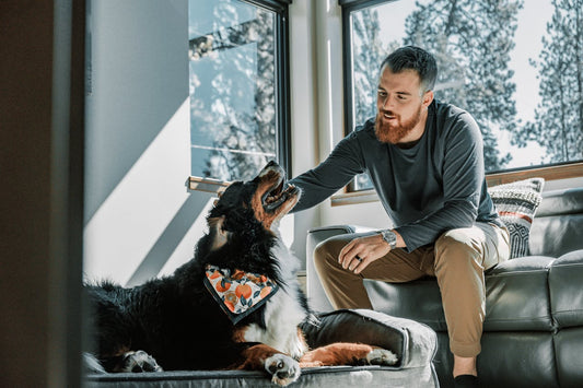 gift ideas for dog dags
